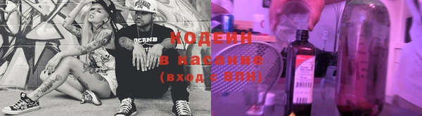 шишки Вязьма