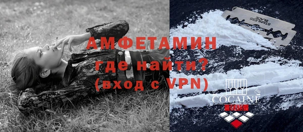 шишки Вязьма