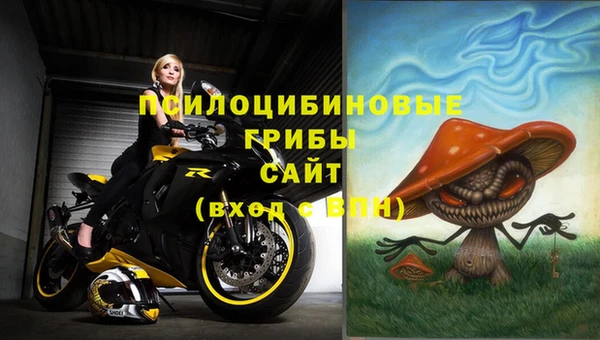 герыч Верхний Тагил